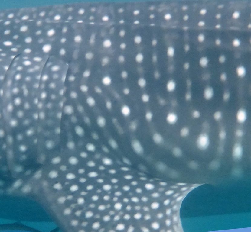 76bdf18f-c888-4308-adbf-548b8776f53a