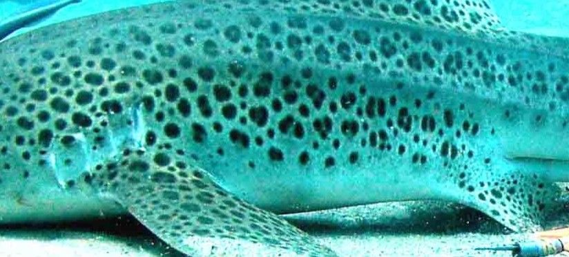 af78e8fc-1e78-4bb7-9490-003aafb4a158