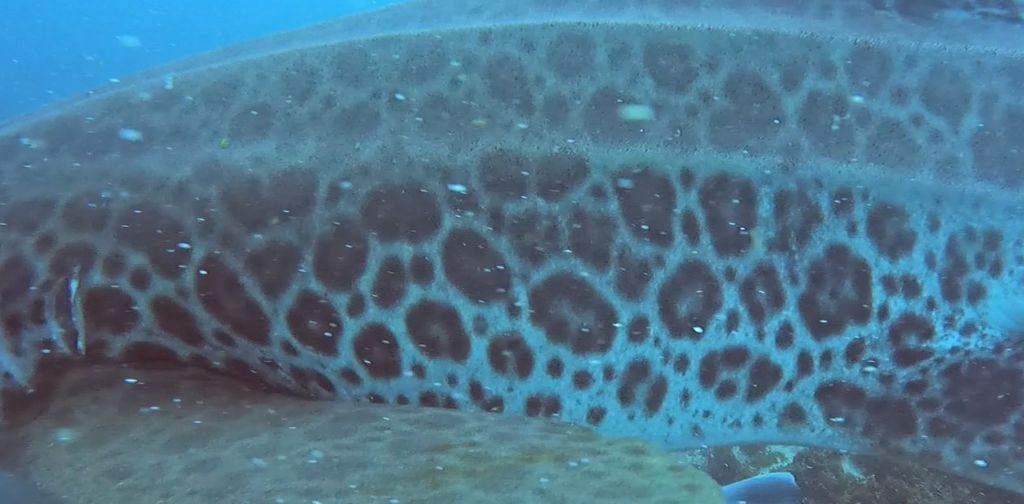 61c4a024-d313-41d4-8522-46529461f5a1