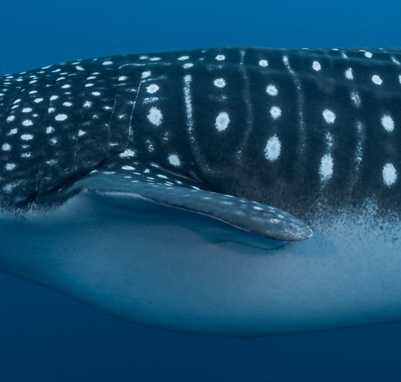 50b5f3fe-b106-426f-8d20-1ee27f8e0928