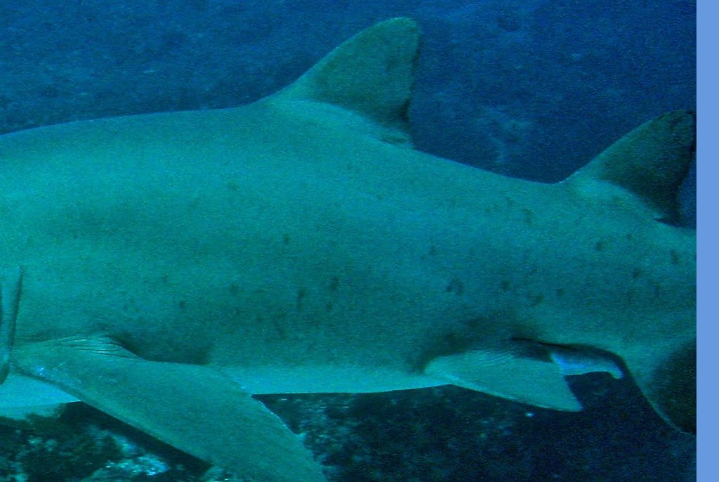 ba3323df-3f1b-4a7a-a094-7e0da074ee43