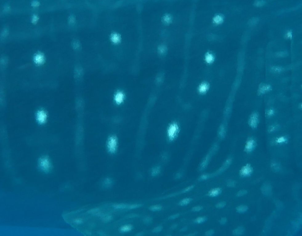 16a22d50-b149-49f6-a4a9-c8d53062ccde