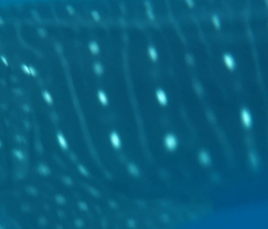 16a22d50-b149-49f6-a4a9-c8d53062ccde