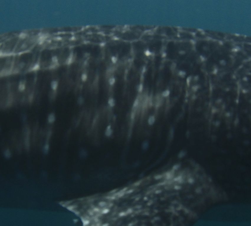 489a1800-543e-4288-ab01-e0defbb3575b