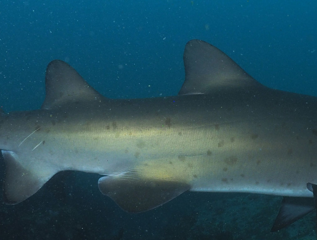 f4f5cc9a-be92-4805-838b-5491f55afc7c