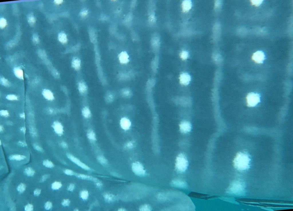 00d0fa03-84ba-4b5a-8174-8b6a026ebc04