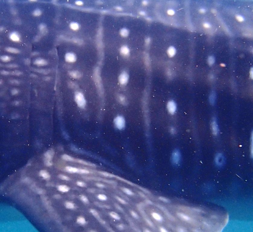 5e799beb-65dc-44e8-8770-8982cb6f9b07