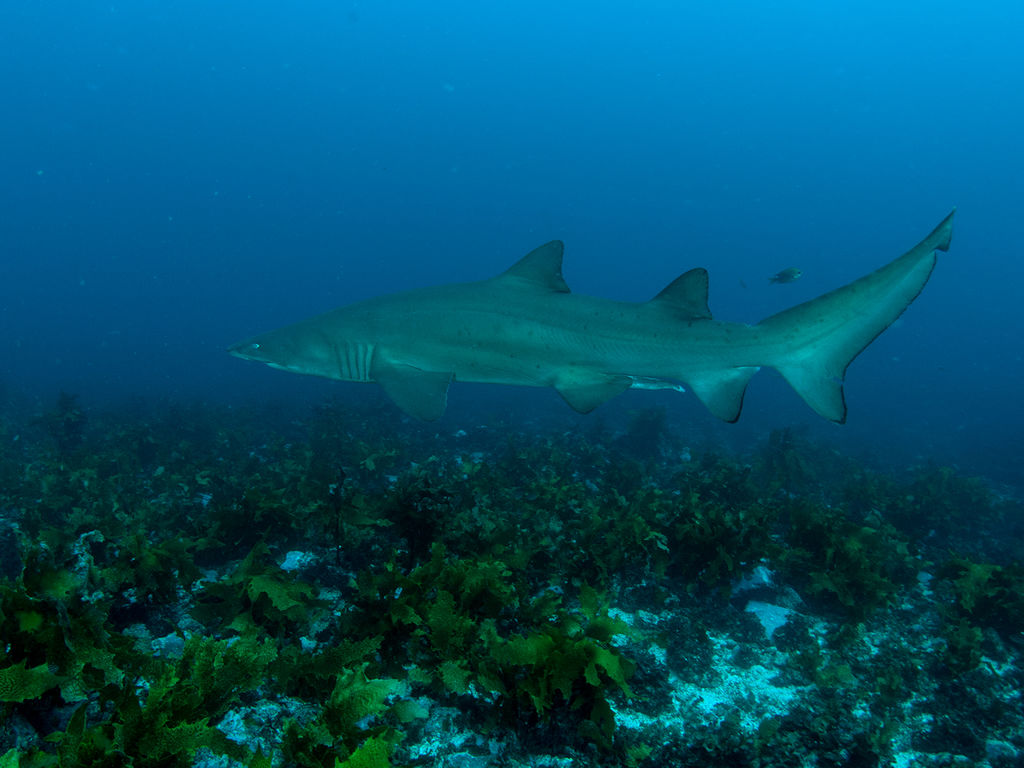 bf176003-3fef-4752-9b6c-fd0b3473abc2