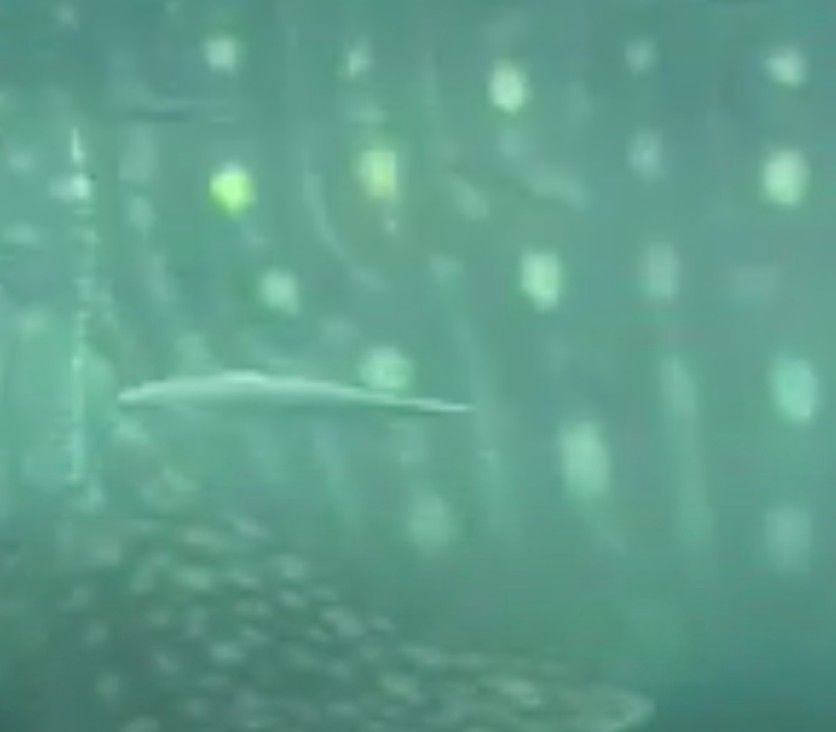 8dac946e-52c9-4268-8e7a-10a00390bee3