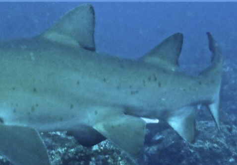 21cfe420-8fd2-4987-bdf5-a261bcf9e201