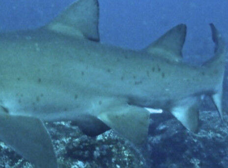 21cfe420-8fd2-4987-bdf5-a261bcf9e201