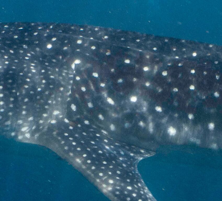 53e6d4d2-8be7-406a-b779-b9f50952ee3f