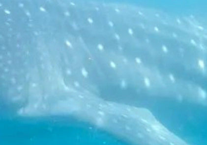 6047eca8-914f-41ec-b0a3-0dee6bdf2c4e