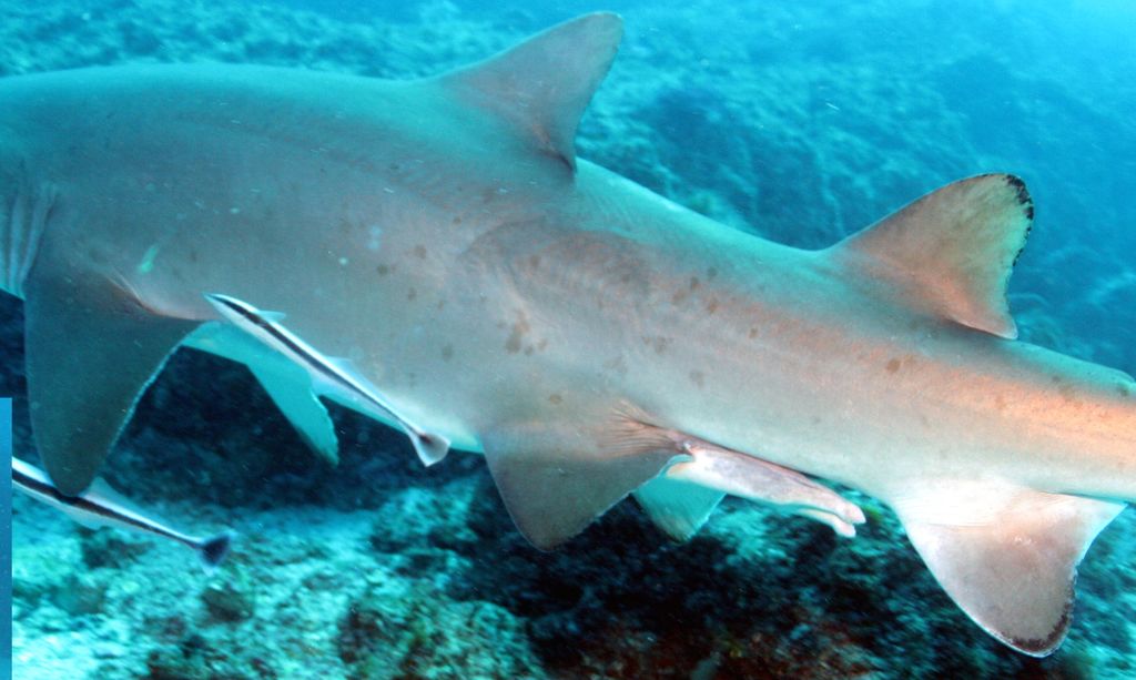 063bdf5d-1b5b-45bf-9cc3-d96f87380595