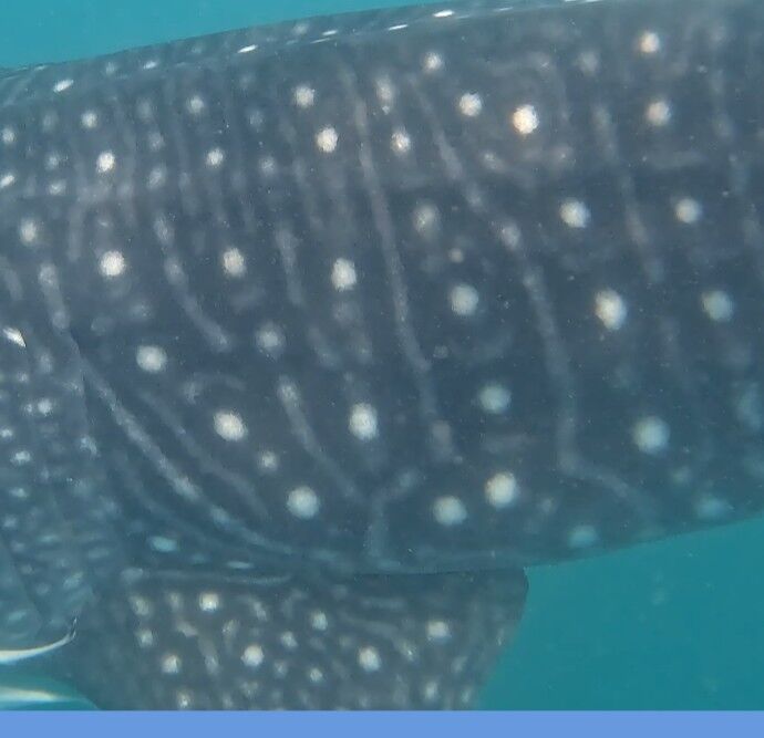 28c07843-646e-4ed9-8dc7-c46cb75661a6