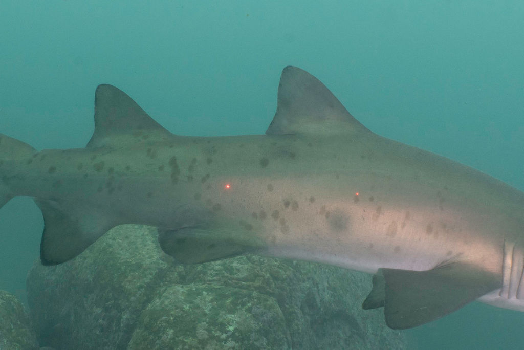 39a8eee8-6869-473f-aba0-6343ca8b2f8a