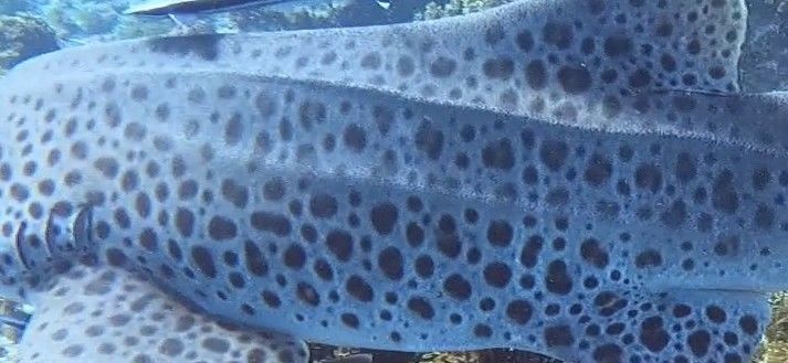 7c6a1355-c866-4f11-b71a-22f799319afc