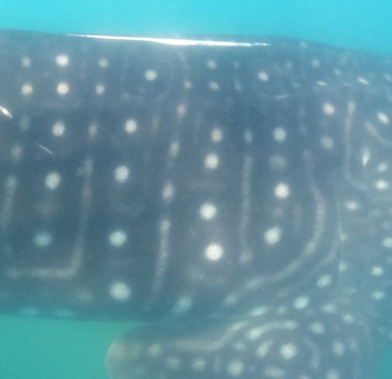 a4d4d169-cfda-4936-a07d-db98db6b4a0f