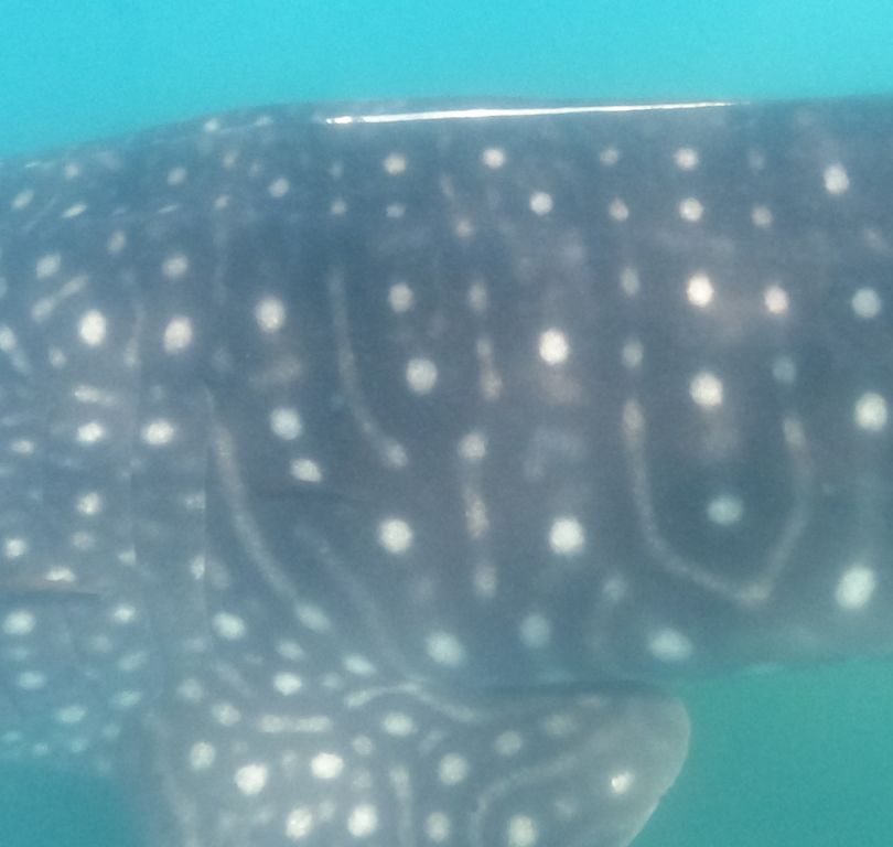 a4d4d169-cfda-4936-a07d-db98db6b4a0f