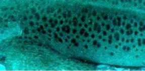 c01b04ad-2334-44d7-86de-48d872a2e0d9