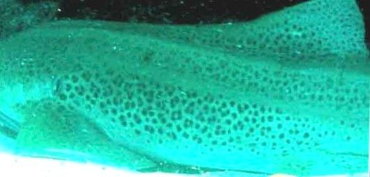 083b78aa-5c3f-4ffd-9b2e-14ac368afc84