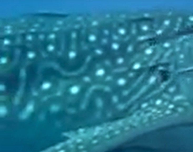 b979ec6a-45b8-44c5-a09e-7ca1987e9035