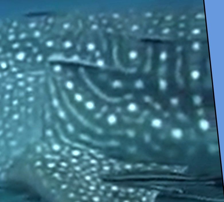 b979ec6a-45b8-44c5-a09e-7ca1987e9035