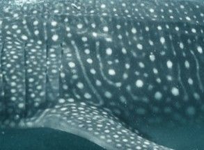 3729bc1b-8b7e-4fc9-a500-107a348b94b1