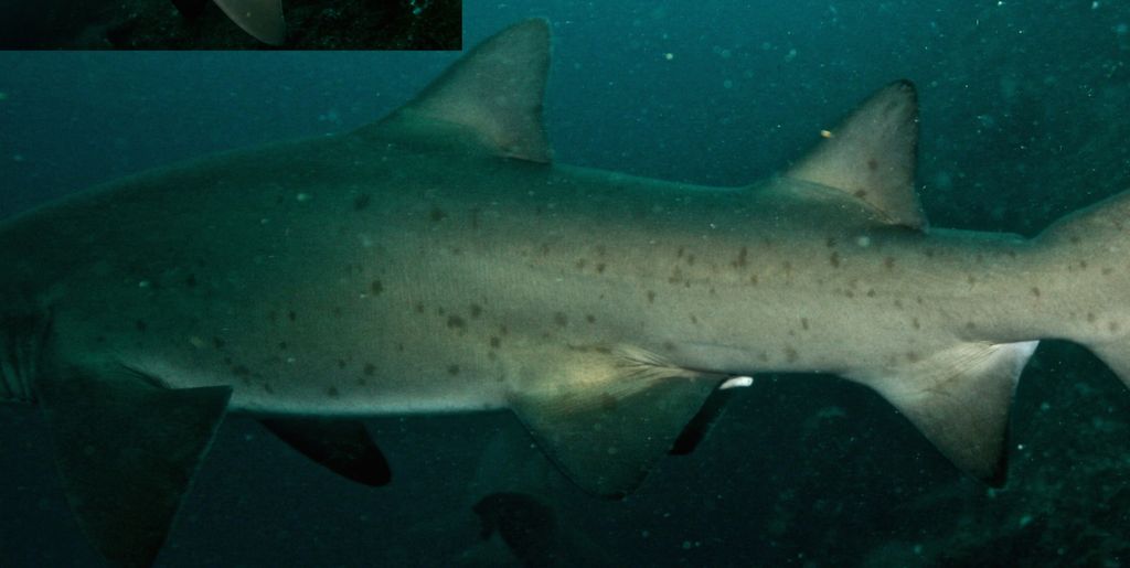 d4af46aa-5a2a-4385-900a-39e44154fdfe