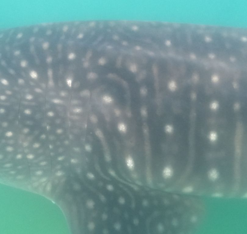 8ec909ee-3f92-4323-97cc-131c59bfcb6f