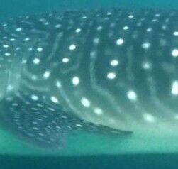 ebd7d831-5424-4eb7-af39-4526e4d70f74