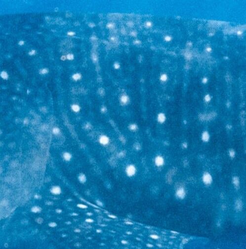 5acf5891-f105-45c7-8787-72444affe42b