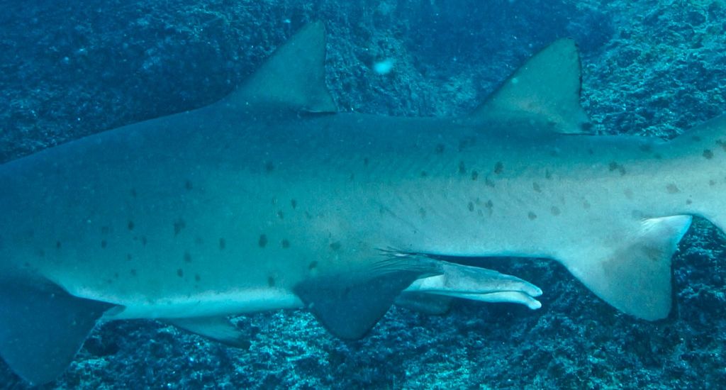 10339af1-2659-41cc-b804-397f929bfabd