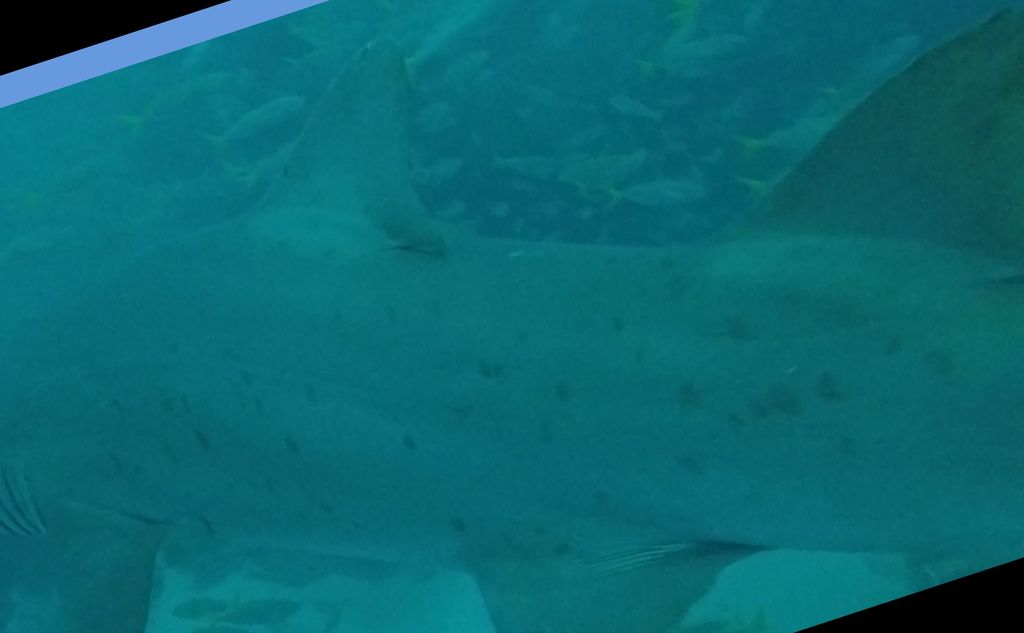 c98e45be-2c89-4488-8eae-84a7715149ac