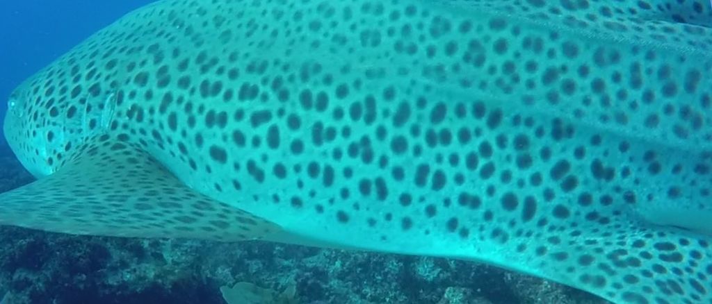 ac4ff84b-d4d0-460d-b267-4dfc0f049512