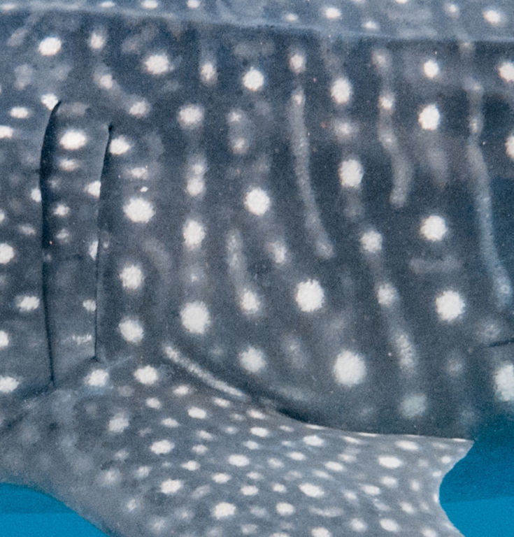 19b09513-66cb-4453-8af1-bdec5a99f3f8