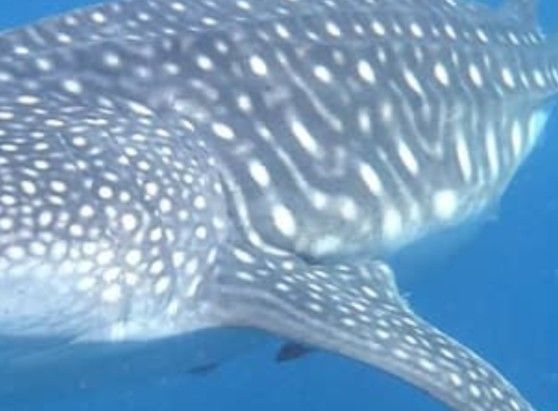 7cf5ec2b-5834-4469-a924-a97dd46913bb