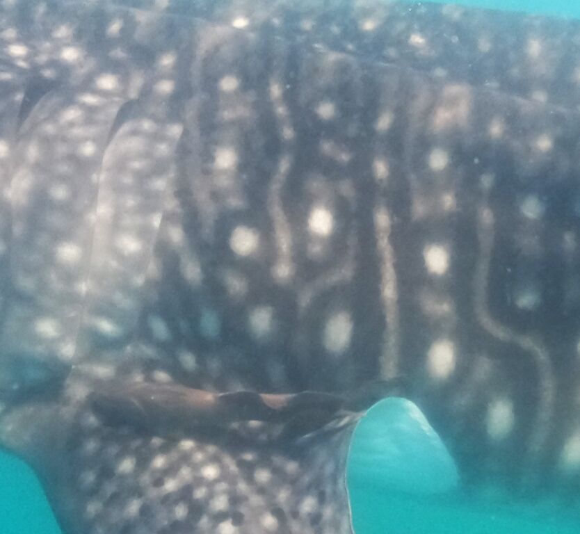 cee208f9-1cd5-4dec-a62c-f809b08fb807