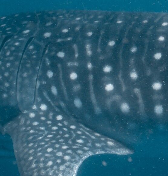 7314a288-46c0-4035-8ce7-d637aa15e80f