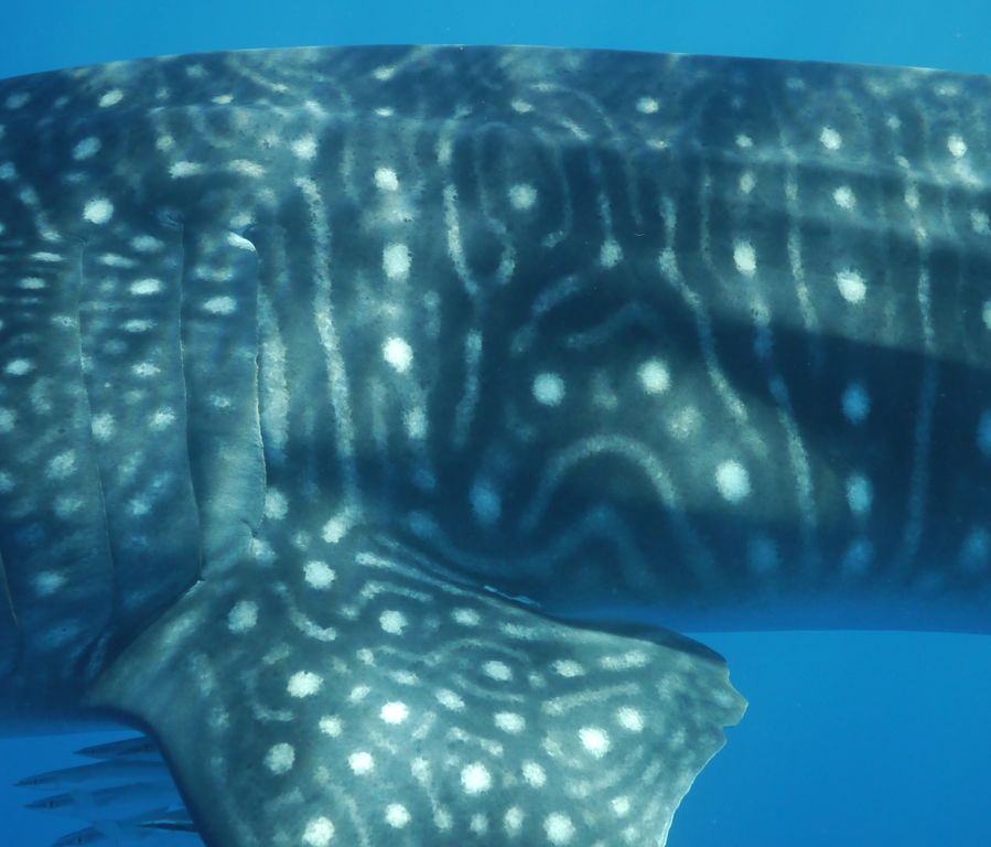 c6b91498-f2fd-49f2-b87d-fd7946c7c774