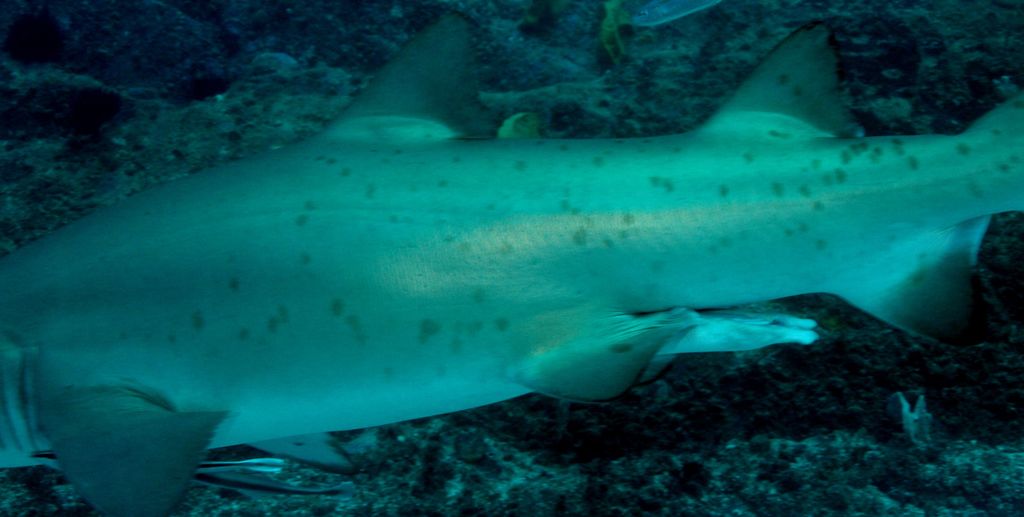 34bc83b2-8fdd-4deb-9955-687acc269c3a