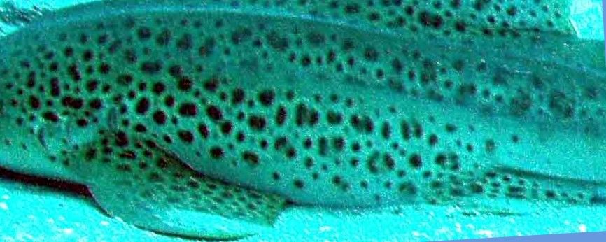 7b978c2d-f445-4e2b-a967-b63c96fe2d7a