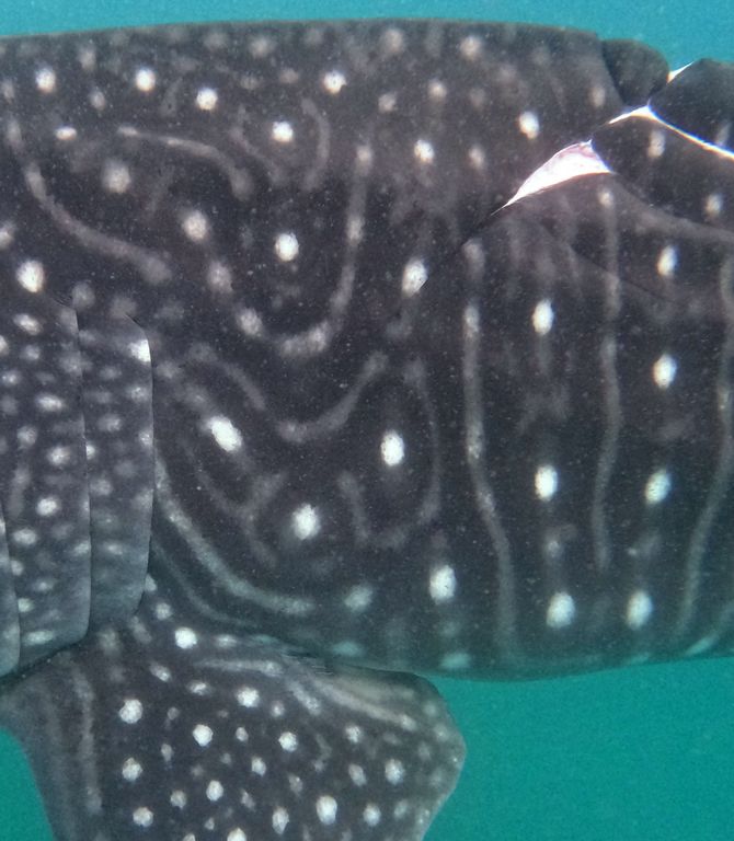 15e47ece-88f2-4fa8-bf78-d6d995e955ba