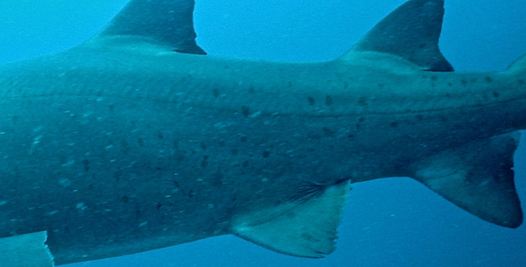 b4649ce5-eb84-4467-8b29-82f02ea7b109