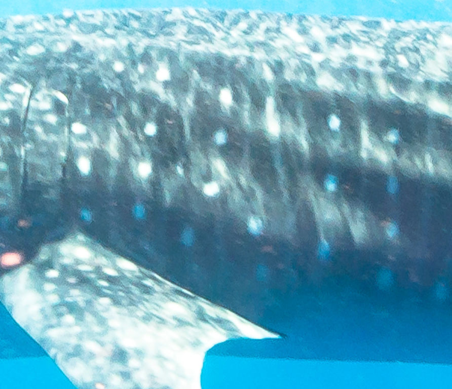 163e5b1c-f782-4eba-b06f-1531d14d7904