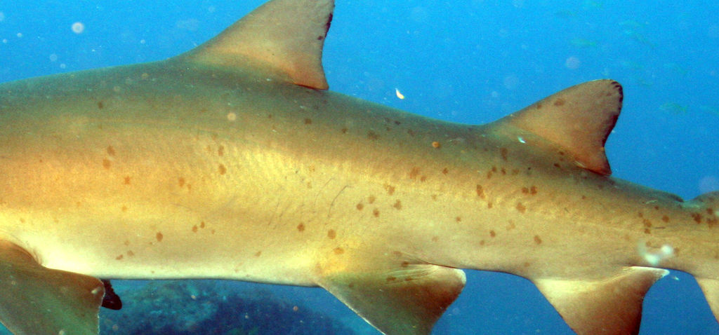 1f57c865-8369-4257-8ab1-611e9ec42821