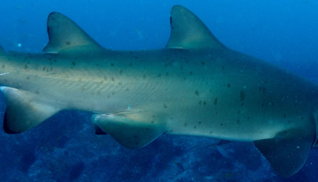 1f57c865-8369-4257-8ab1-611e9ec42821