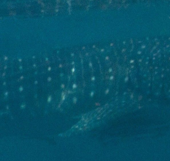 3a5b607d-857a-4109-adae-1e6754ec99d5