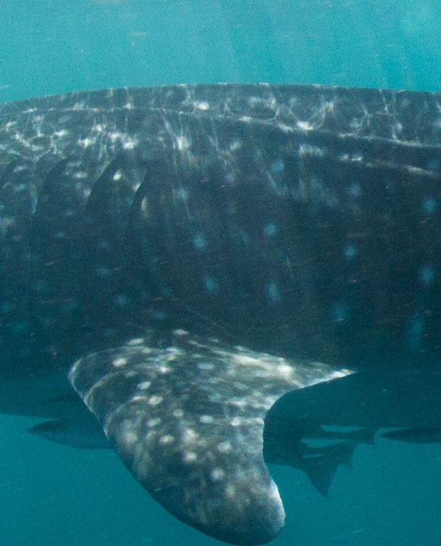 3a5b607d-857a-4109-adae-1e6754ec99d5