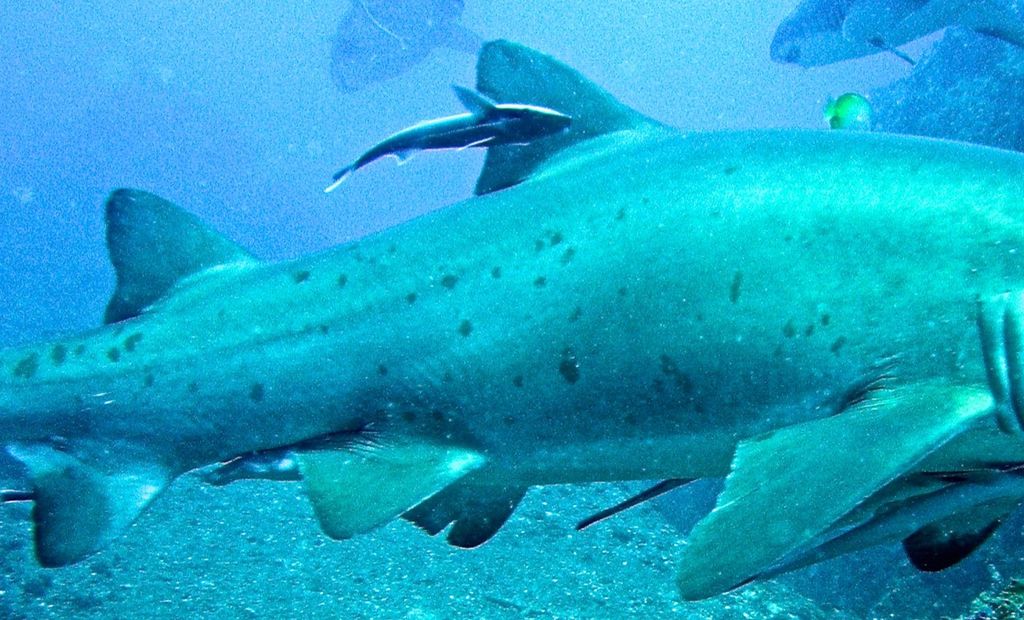 fcb7834c-e3cd-463e-a154-3523d5b1dc28